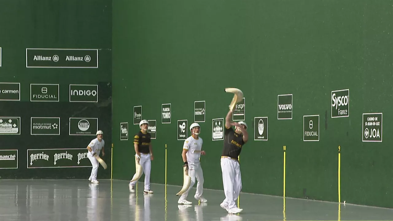 20230421162559_zestapunta_