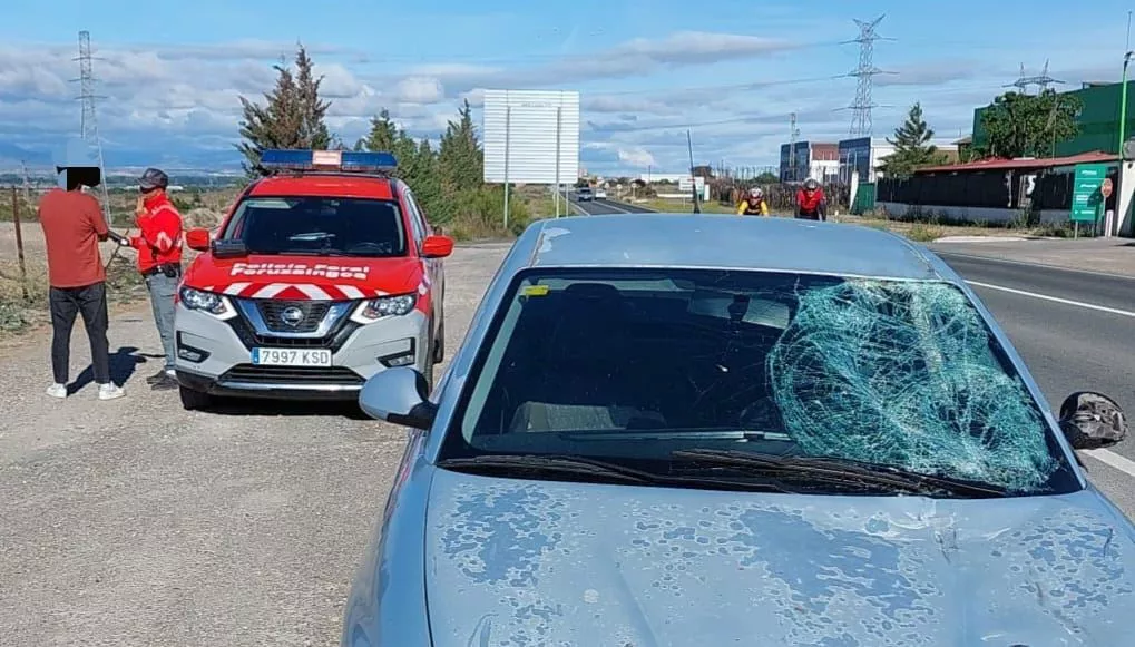cadreita-accidente-ciclistas-foto-policias-foral