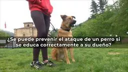 txakur hezitazile es