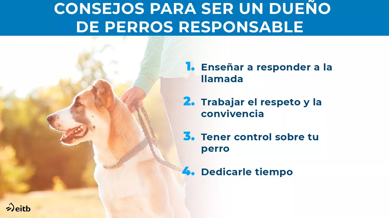 dls_txakur_heziketa_es