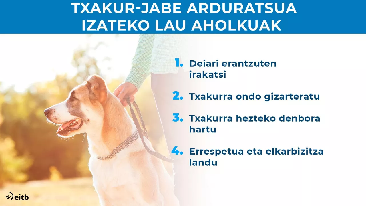 Nola izan txakur-jabe arduratsua?