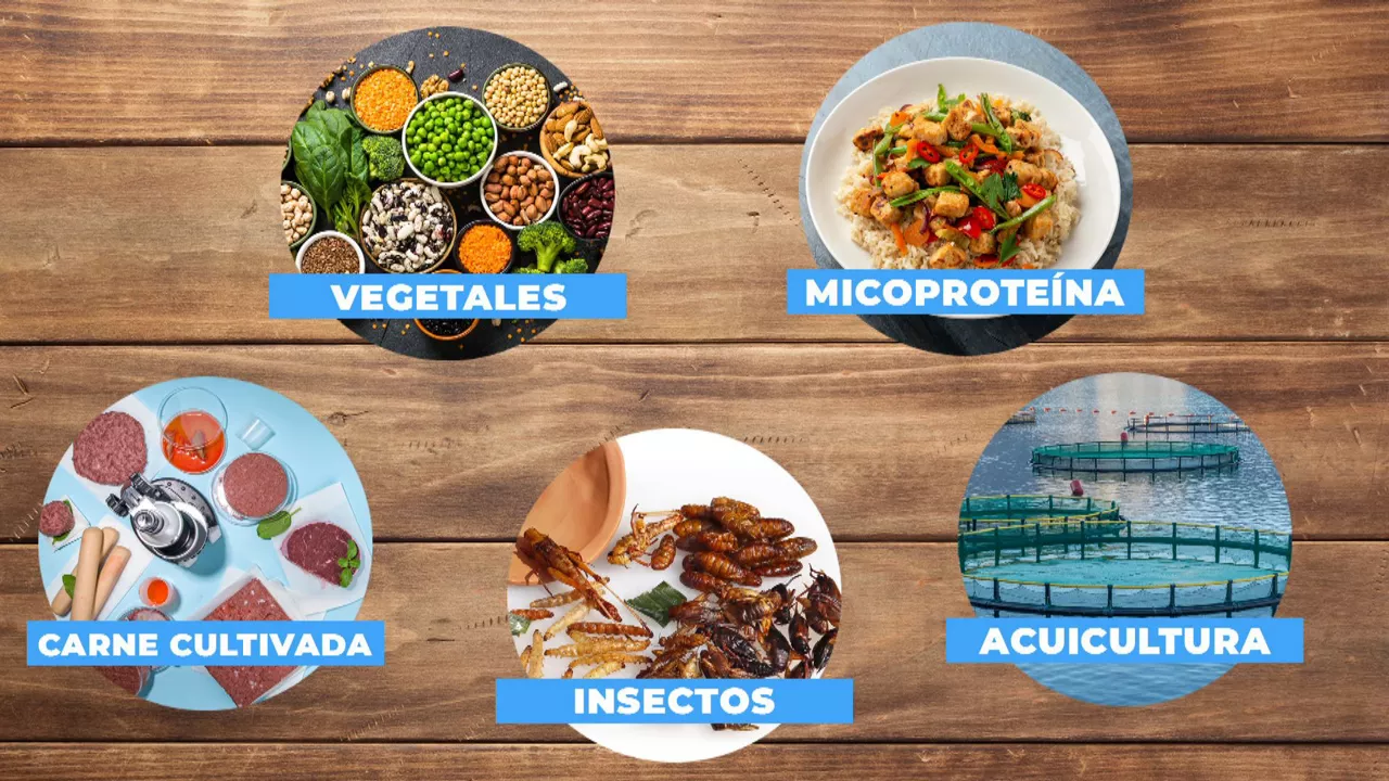 20230515123000_proteinas-alternativas_