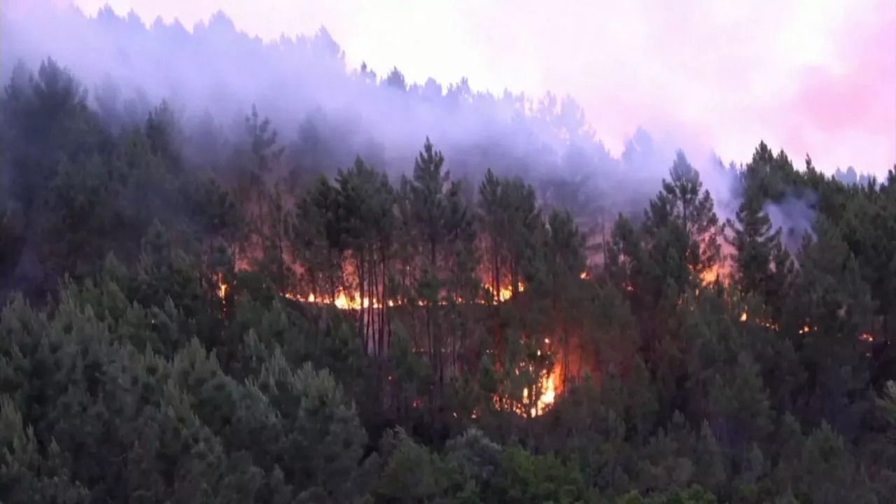 20230519123426_incendio-en-extremadura_