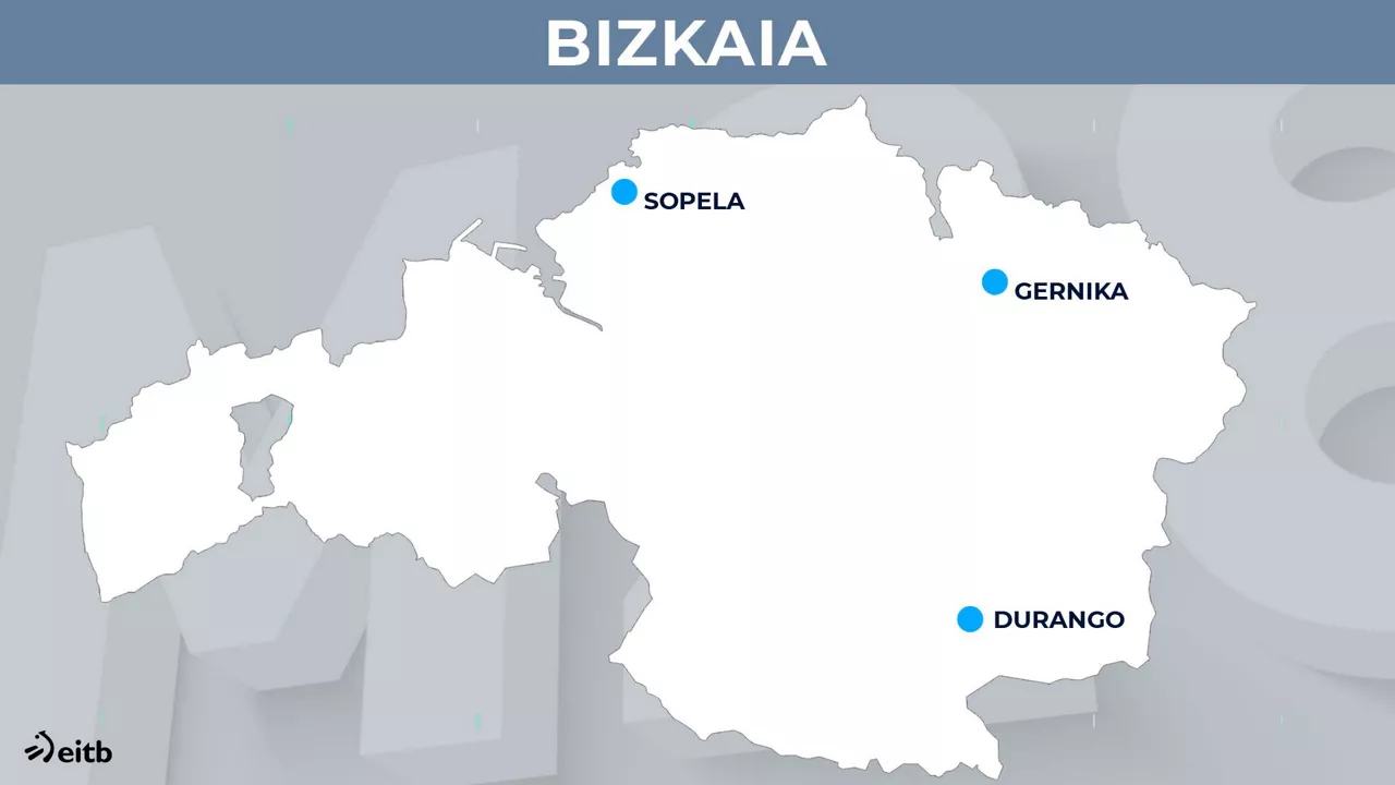 dls_hauteskundeak_bizkaia_es