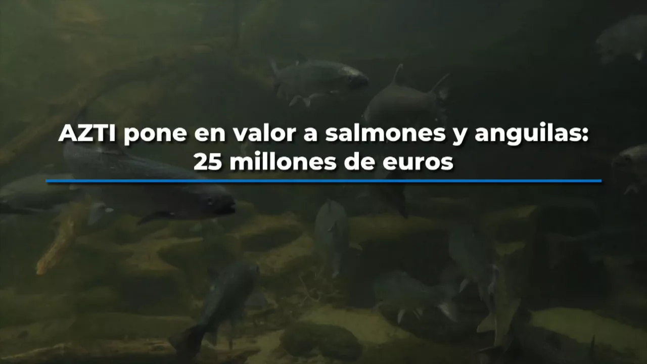 20230530164145_azti-salmones_