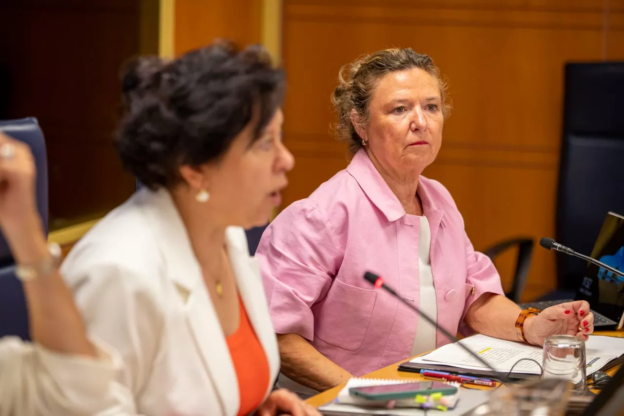 La consejera de Salud, Gotzone Sagardui, en la presentación de este lunes. Foto: EFE