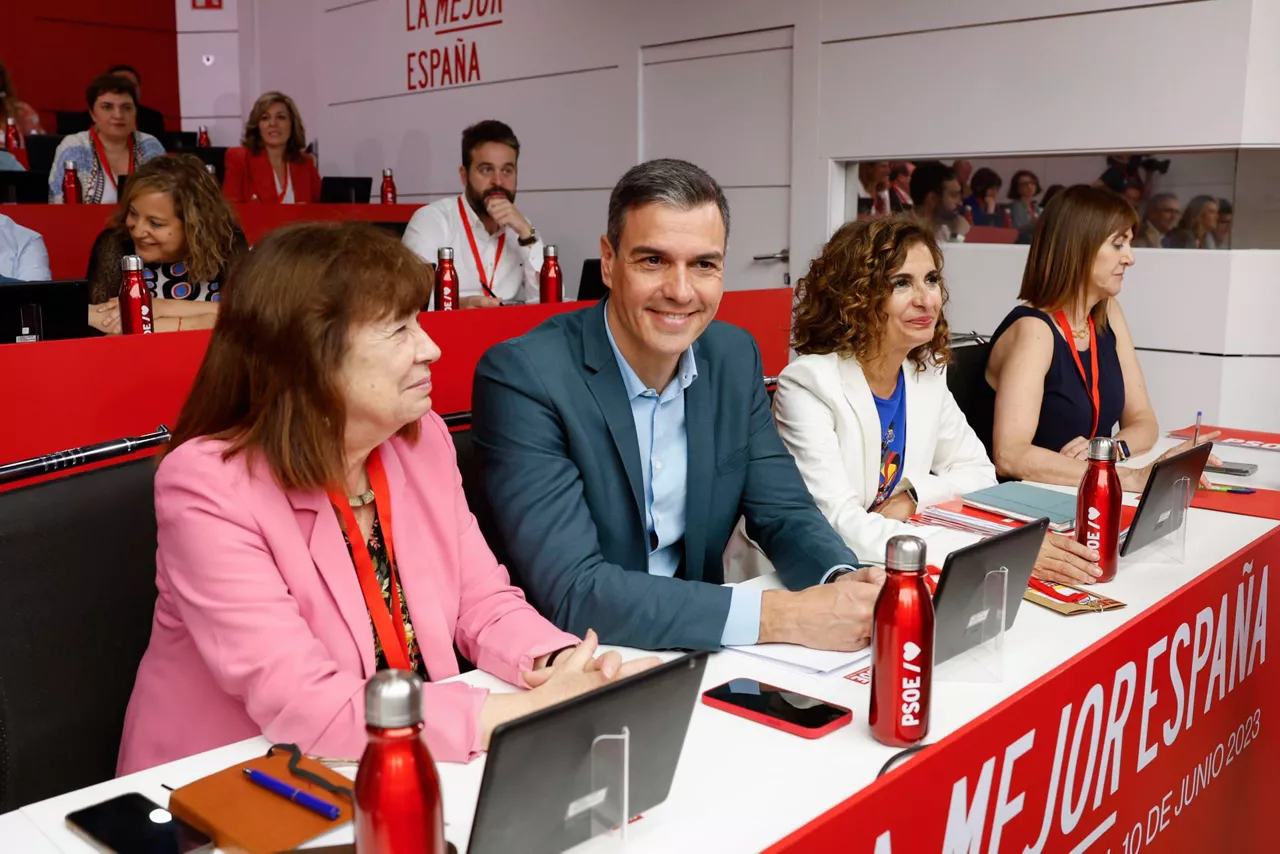 pedro sanchez psoeko komite federala efe