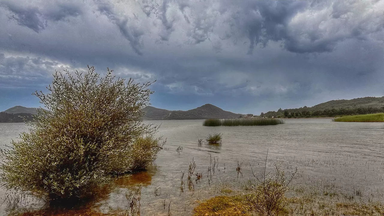 euria lluvia gasteizen araba egilea aitor agirrezabal
