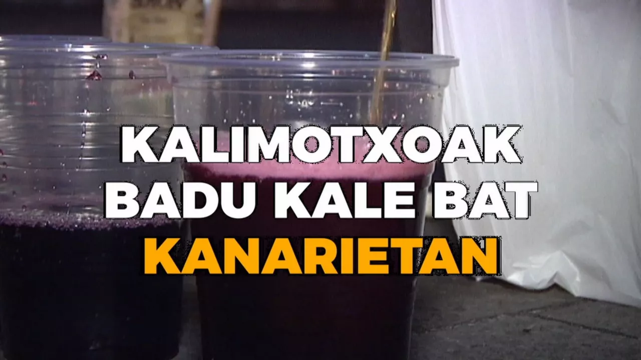 20230619224557_kalimotxo-kanariak_