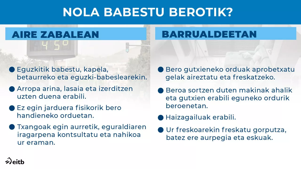 dls_beroa_3_eu