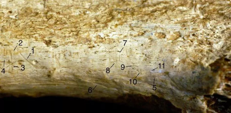 Smithsonian hezurra