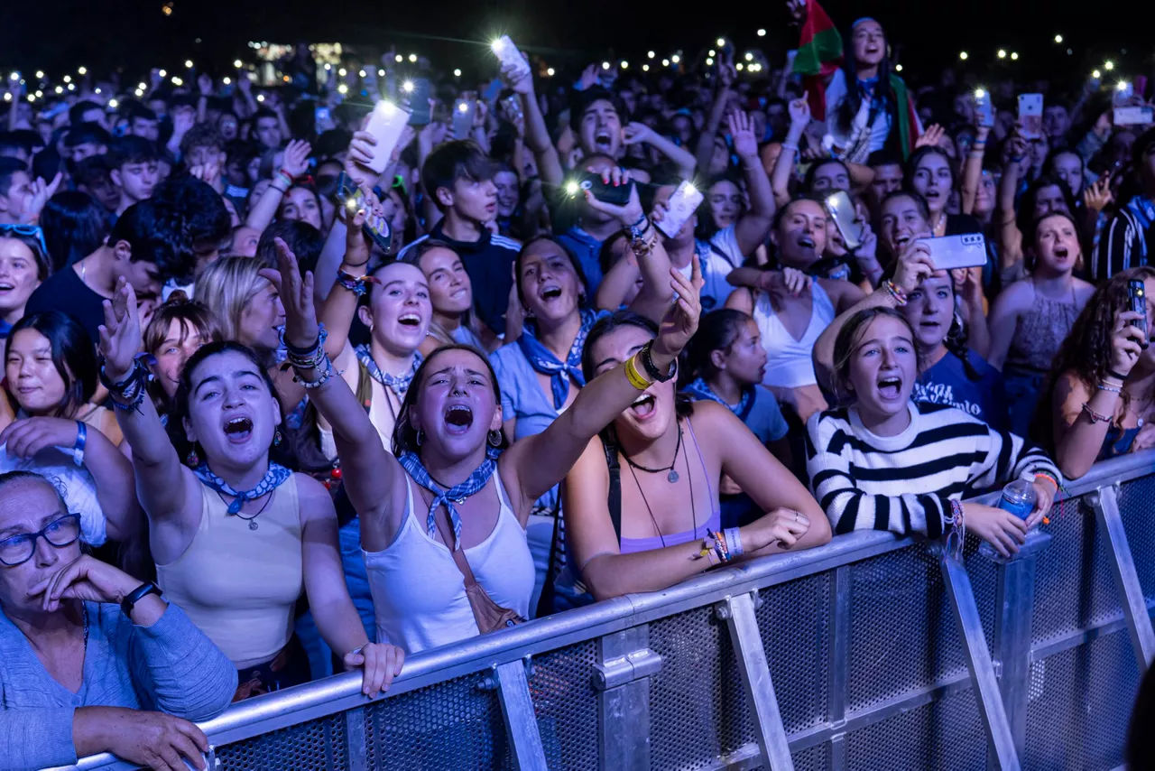 Publikoa, Europa parkeko kontzertu batean