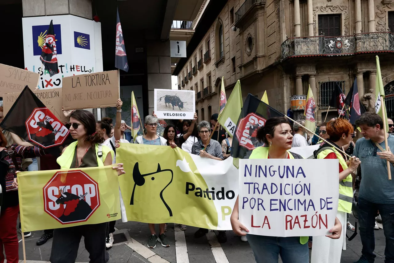 manifestacion-pamplona-libertad-animal-navarra-efe-3