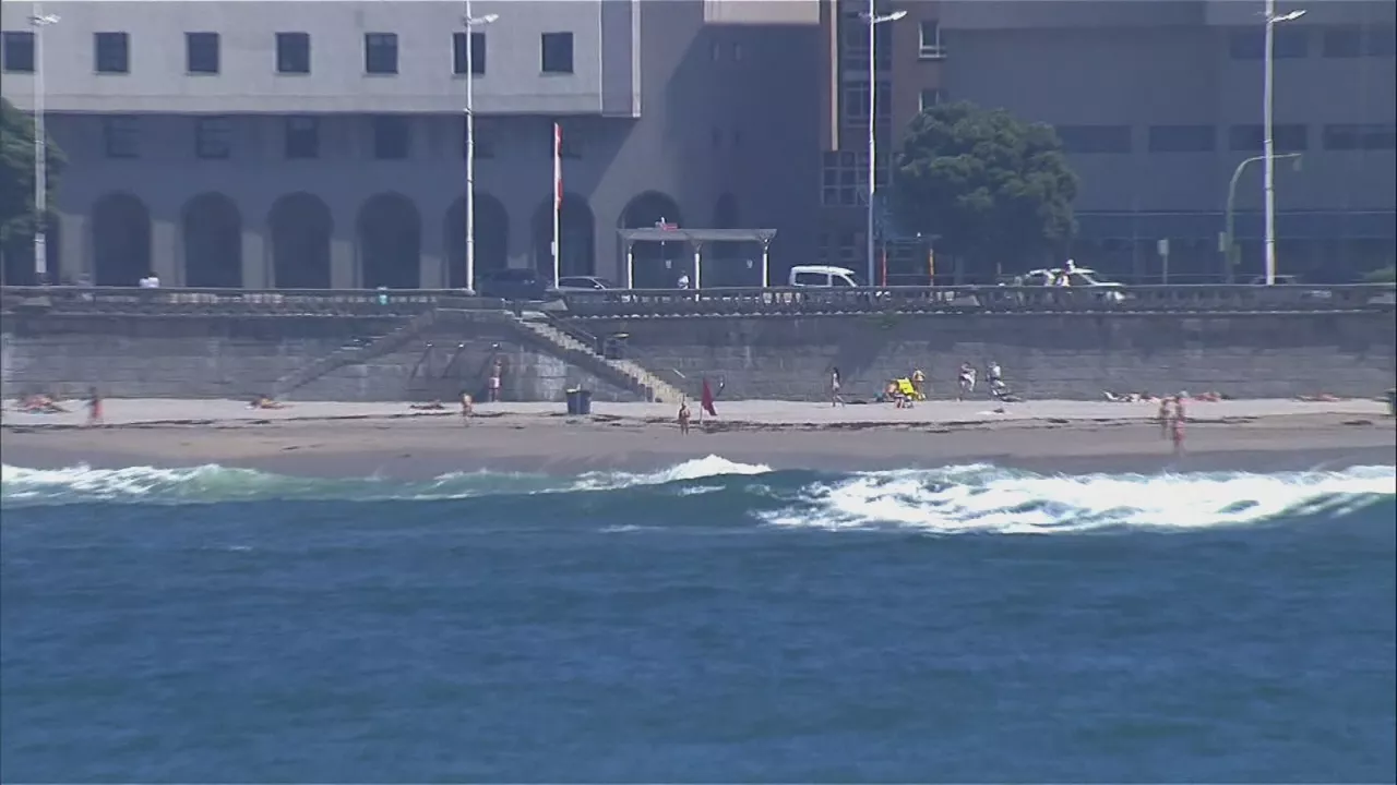 20230701184701_coruna-itsaso-zakarra-arrauna_