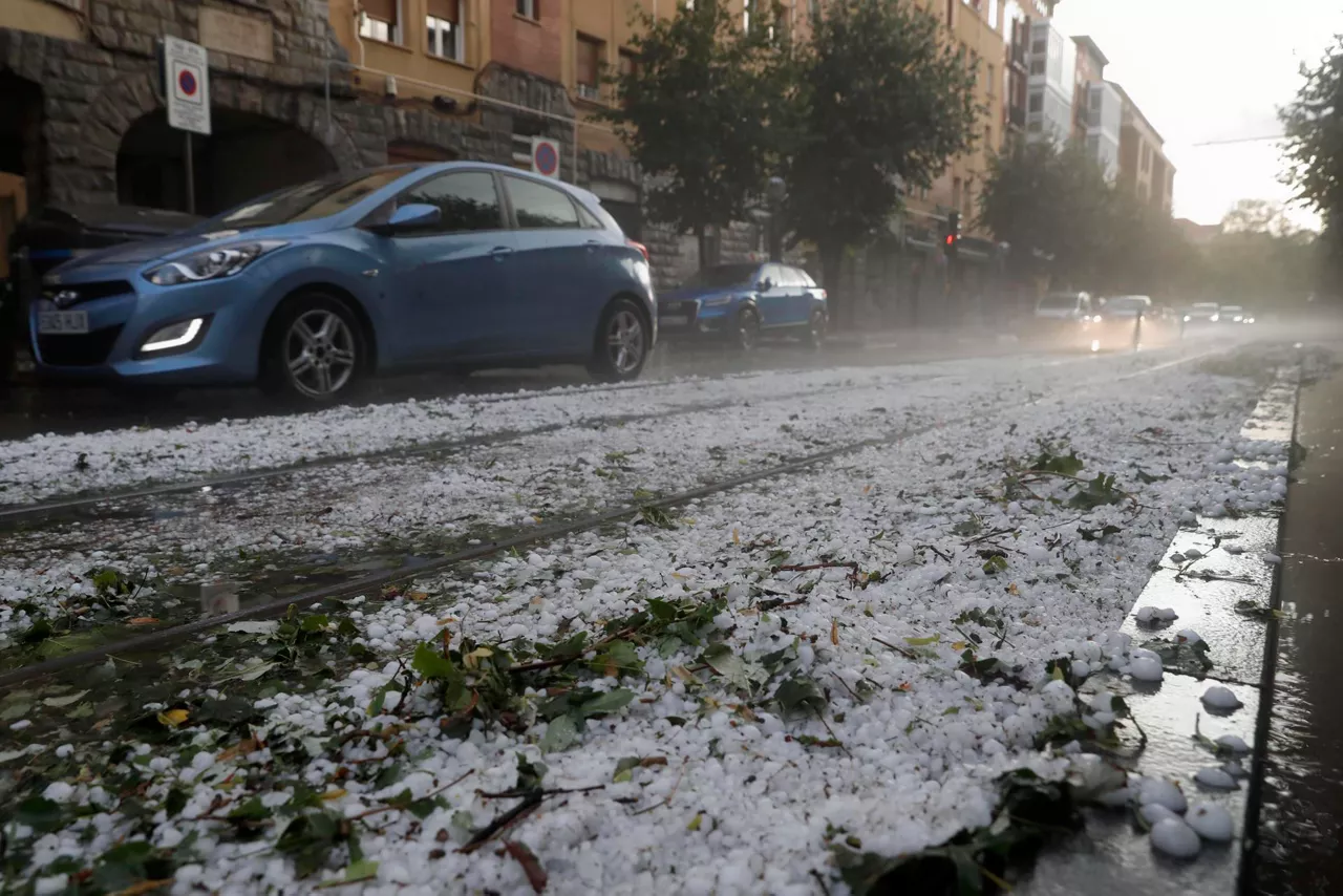 txingorra gasteizen uztailak 6 efe2