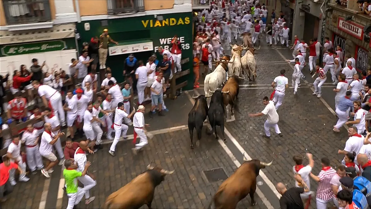Los toros de La Palmosilla, en un momento del encierro.