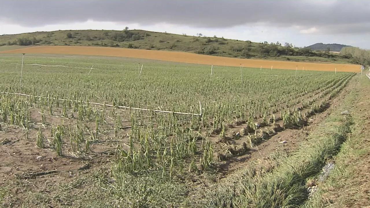 20230707121246_llanada-alavesa-granizo_