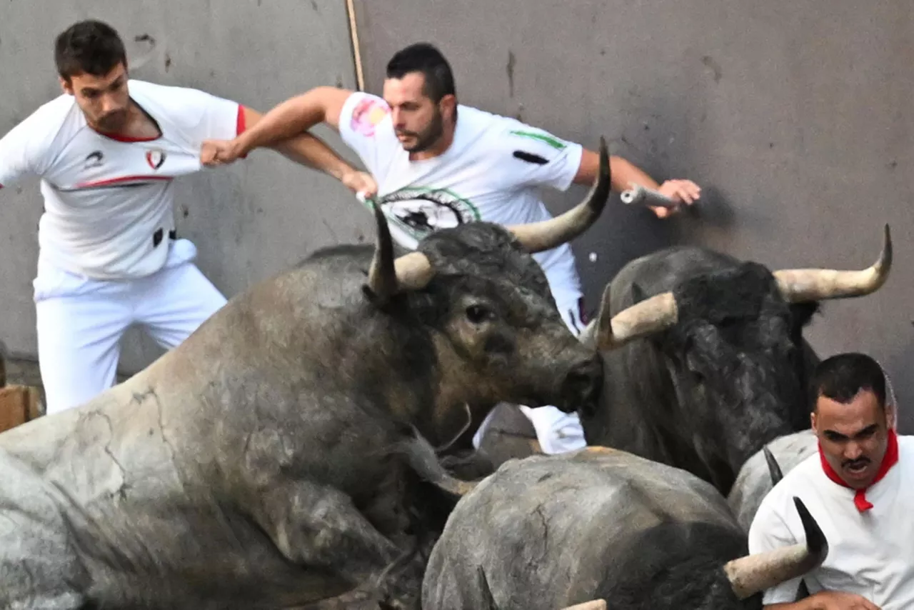 Segundo encierro de los sanfermines 2023