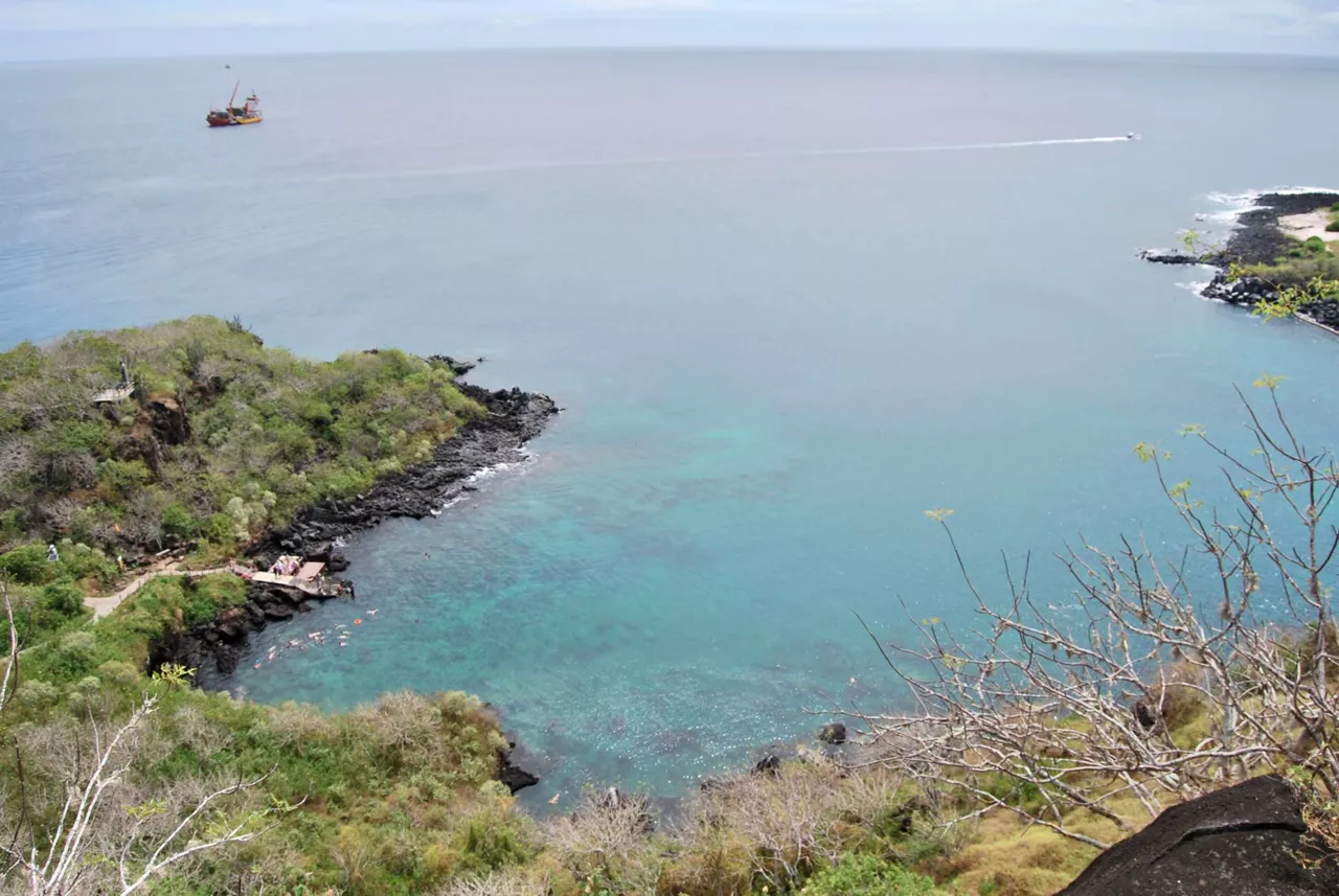 Galapagos
