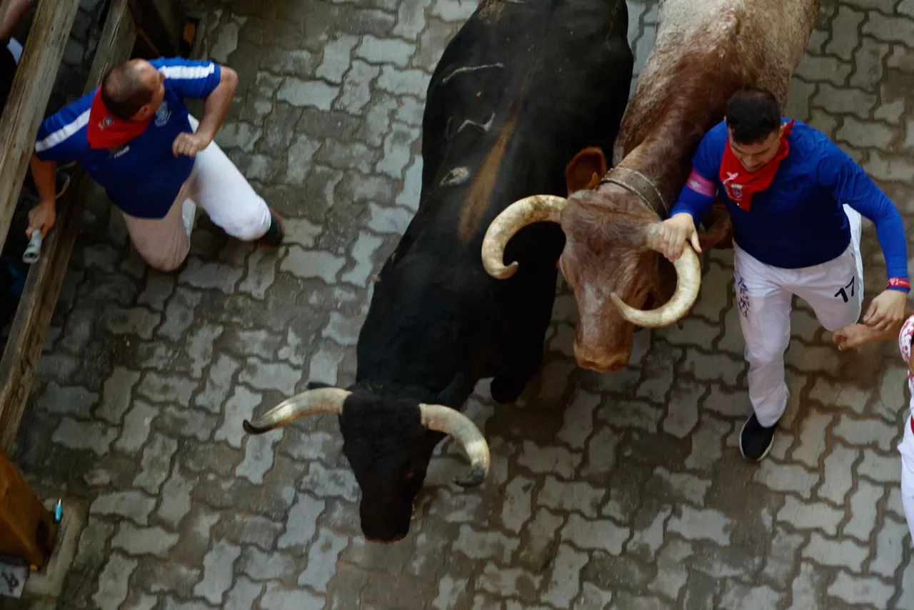 Mozos corren junto a toros de la ganadería Fuente Ymbro. Foto: EFE