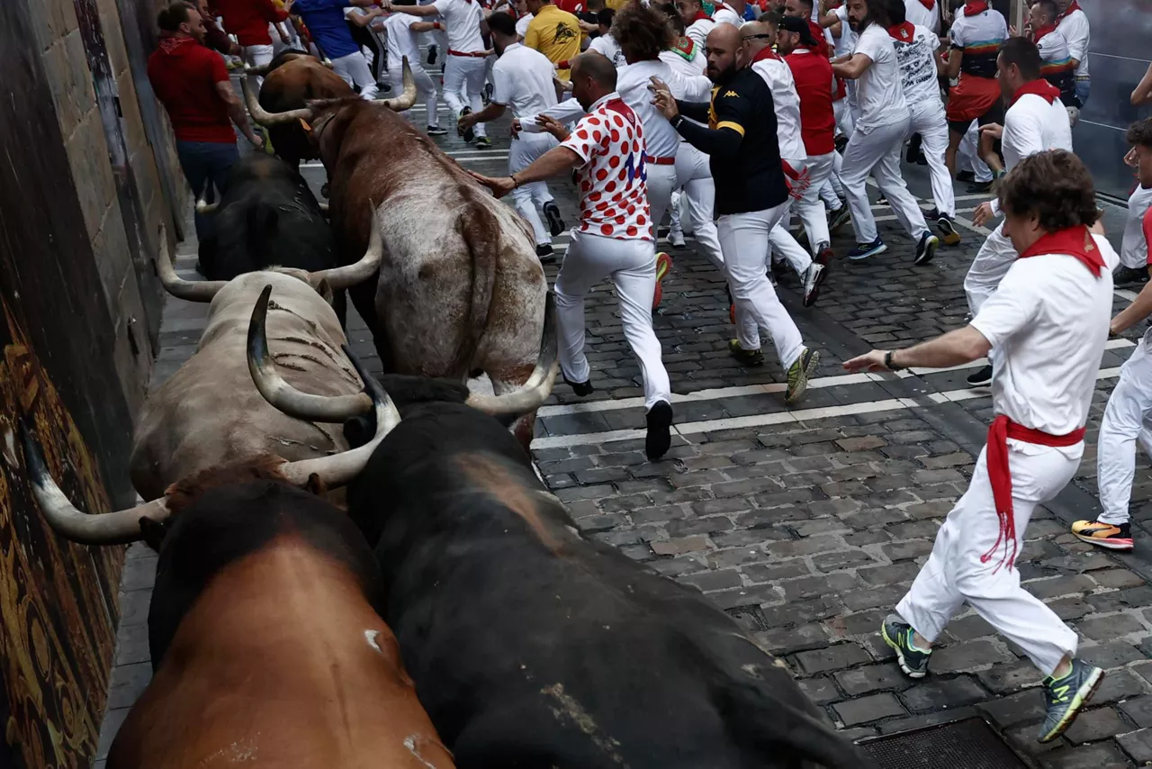 Mozos corren junto a toros de la ganadería Fuente Ymbro. Foto: EFE