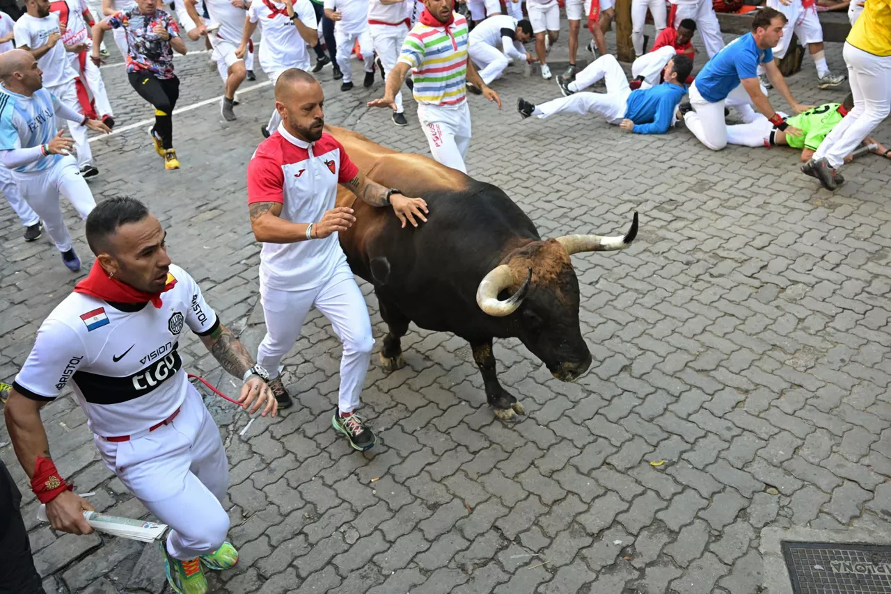 Mozos corren junto a toros de la ganadería Fuente Ymbro. Foto: EFE