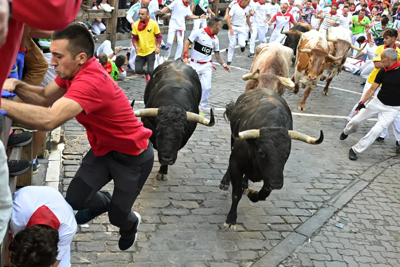 Mozos corren junto a toros de la ganadería Fuente Ymbro. Foto: EFE