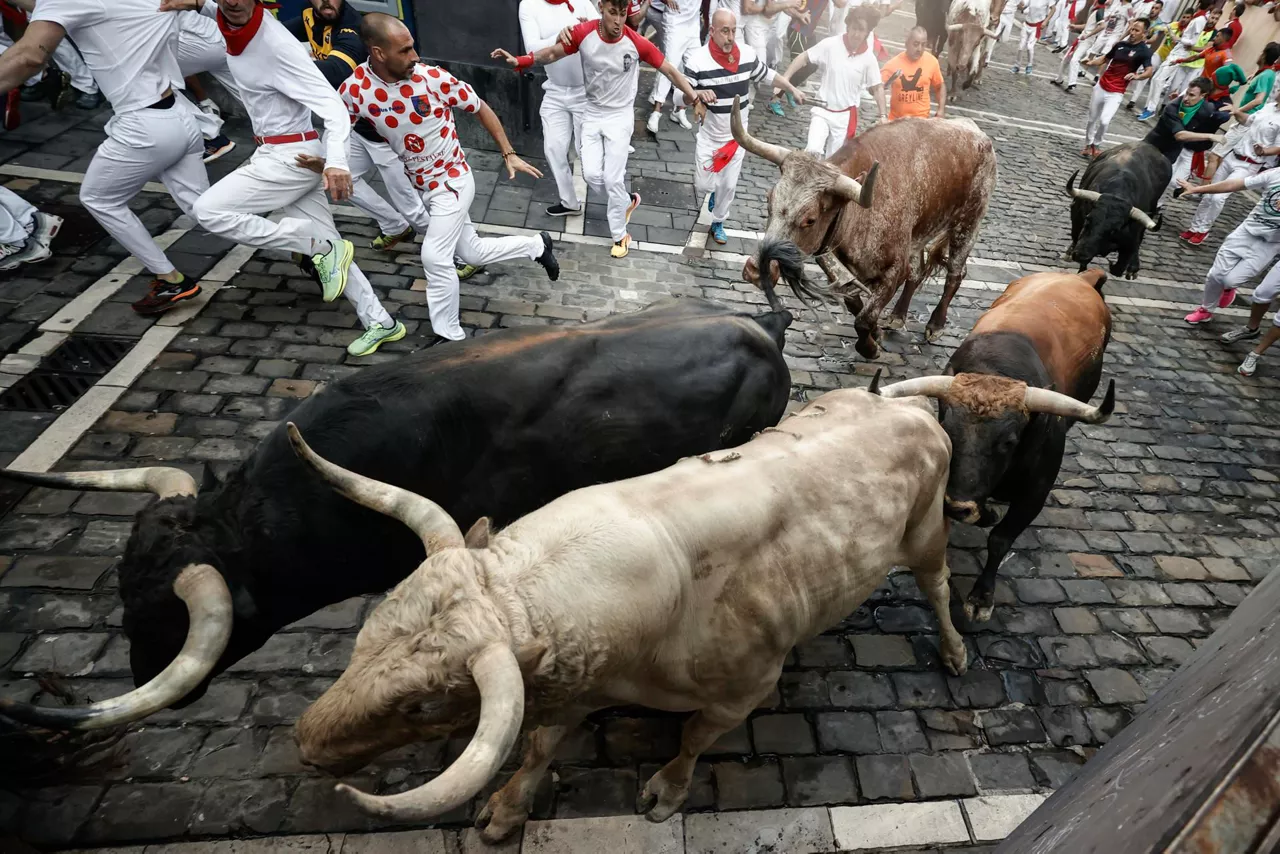 Los toros de la ganadería Fuente Ymbro. Foto: EFE