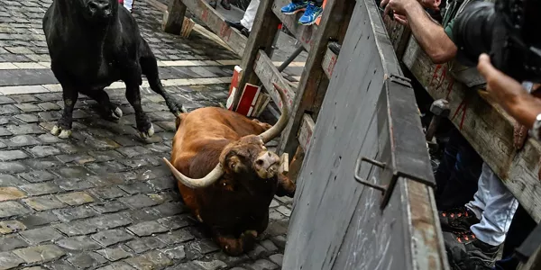 2023ko uztailaren 11ko entzierroa. Argazkia: EFE