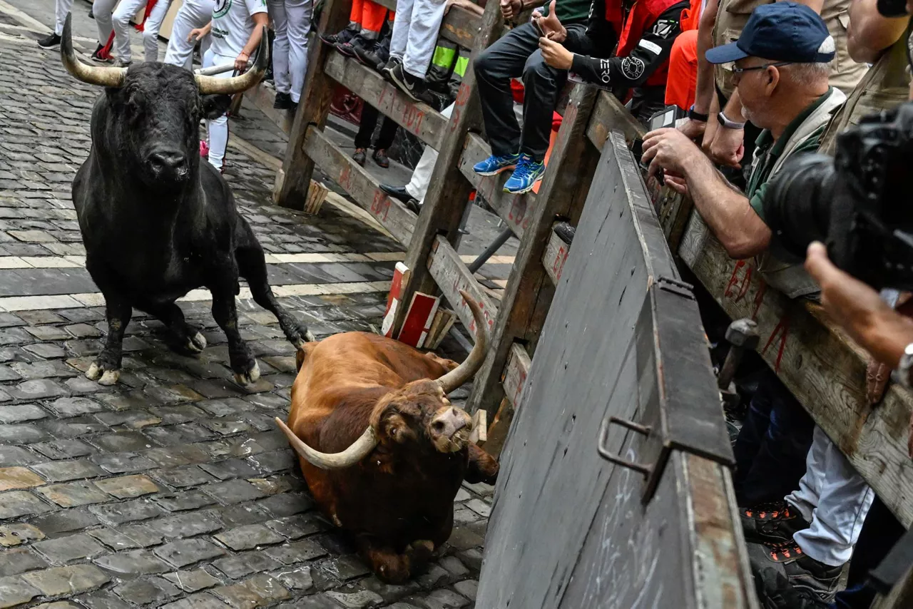 2023ko uztailaren 11ko entzierroa. Argazkia: EFE