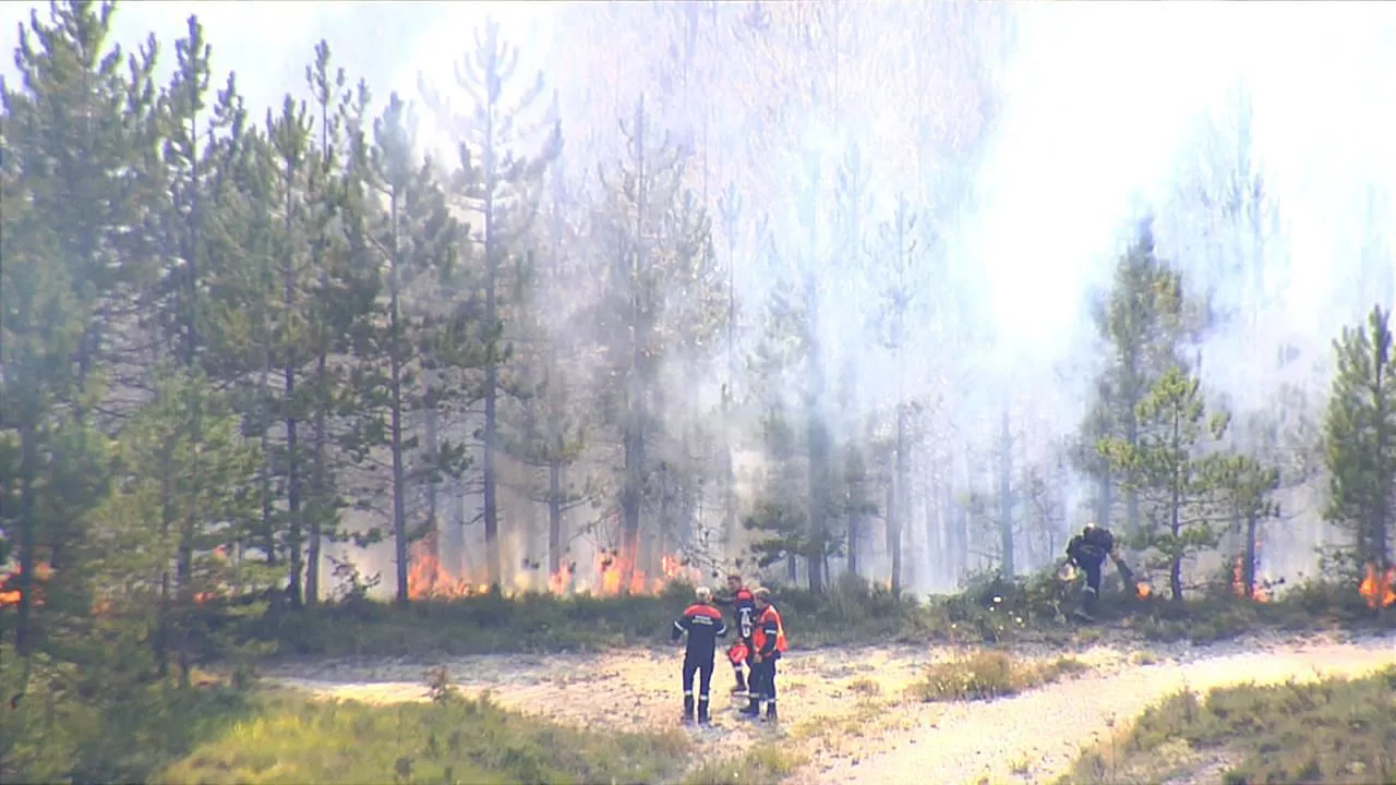 Imagen del incendio declarado en Olloki. Foto: EITB.