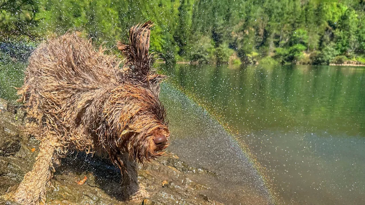 A ZE BEROA !! 35 GRADU TA GORUNTZ !LEGAZPI TIK