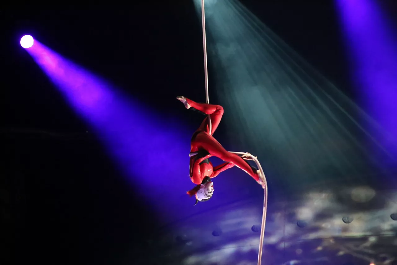 "Ovo" by Cirque du Soleil