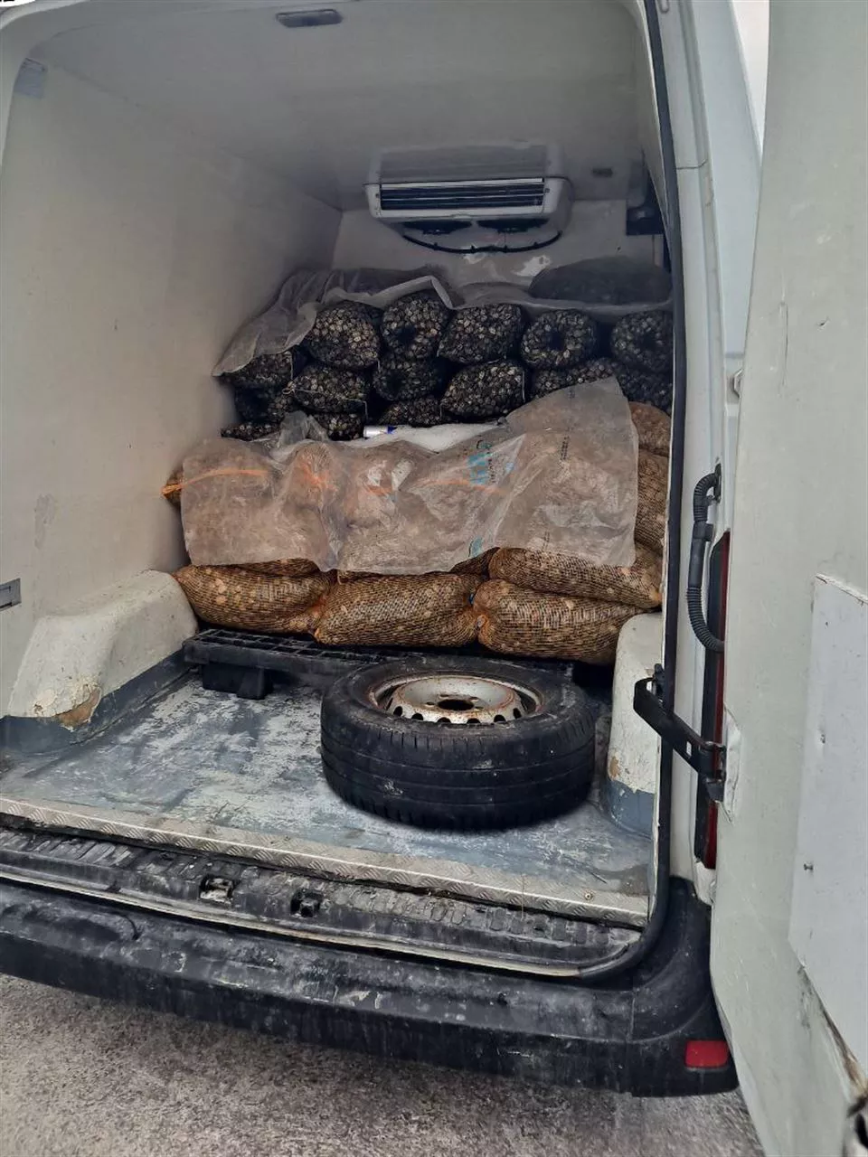 Transporte irregular almejas