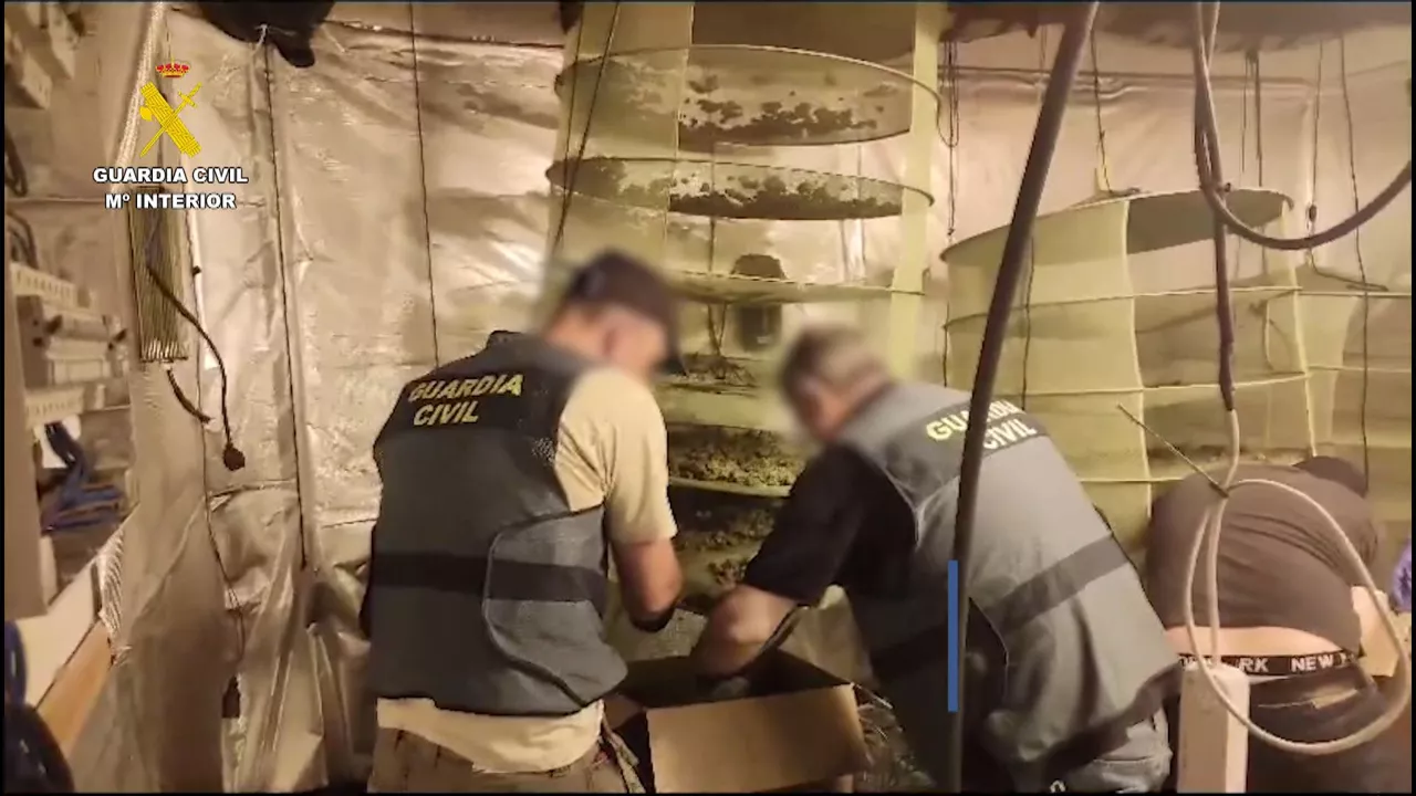 Un momento del desmantelamiento. Imagen: Guardia Civil