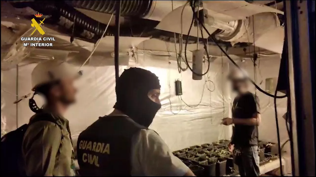 operacion-droga-guardia-civil-laukiz