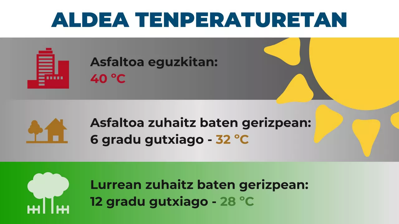 dls-zuhaitzak-hirietan-eus