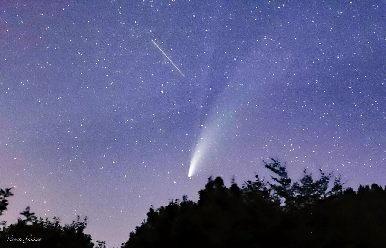 pertseidak perseidas