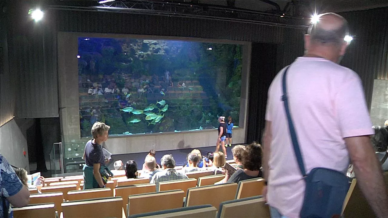aquarium de san sebastian