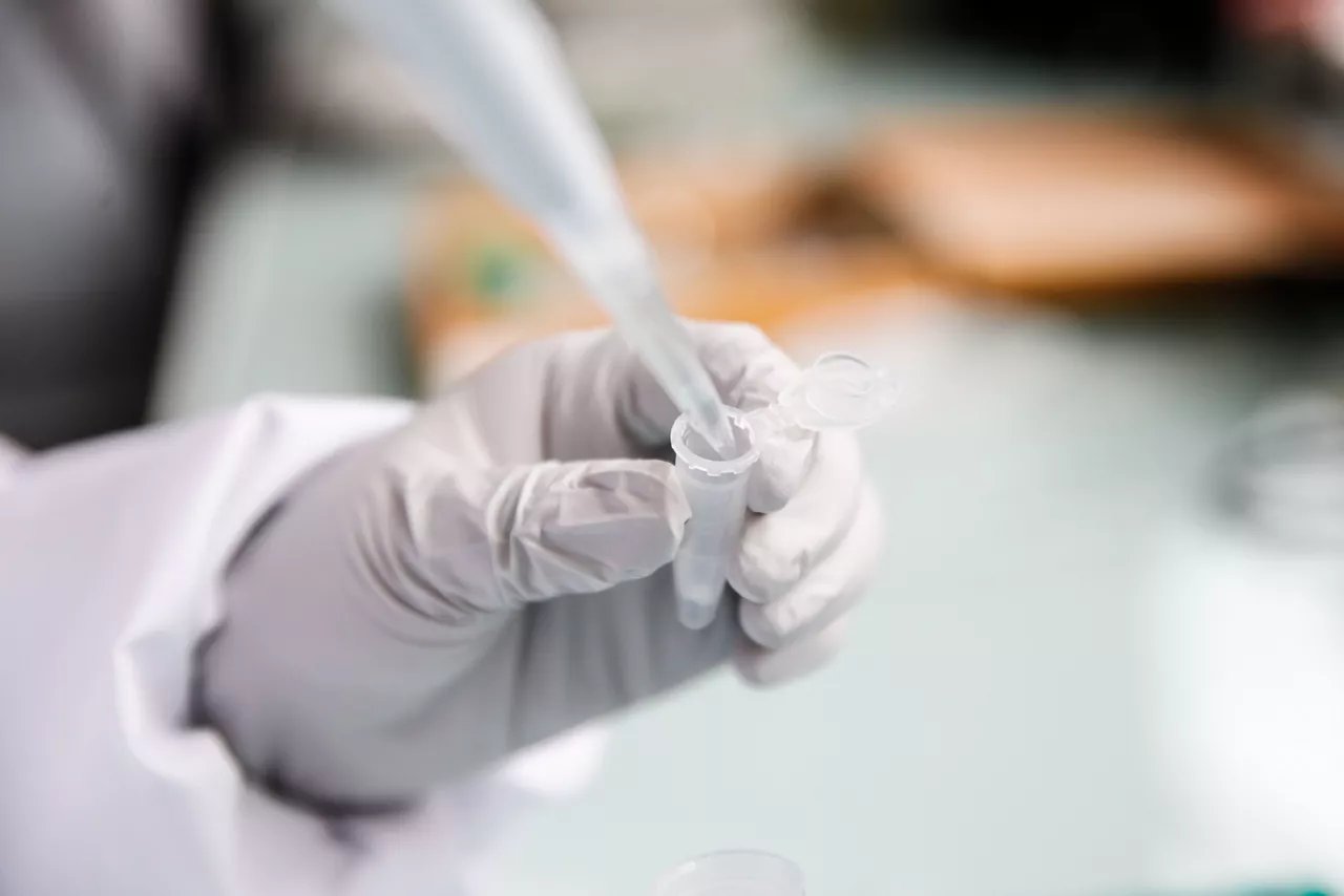 Pruebas de laboratorio