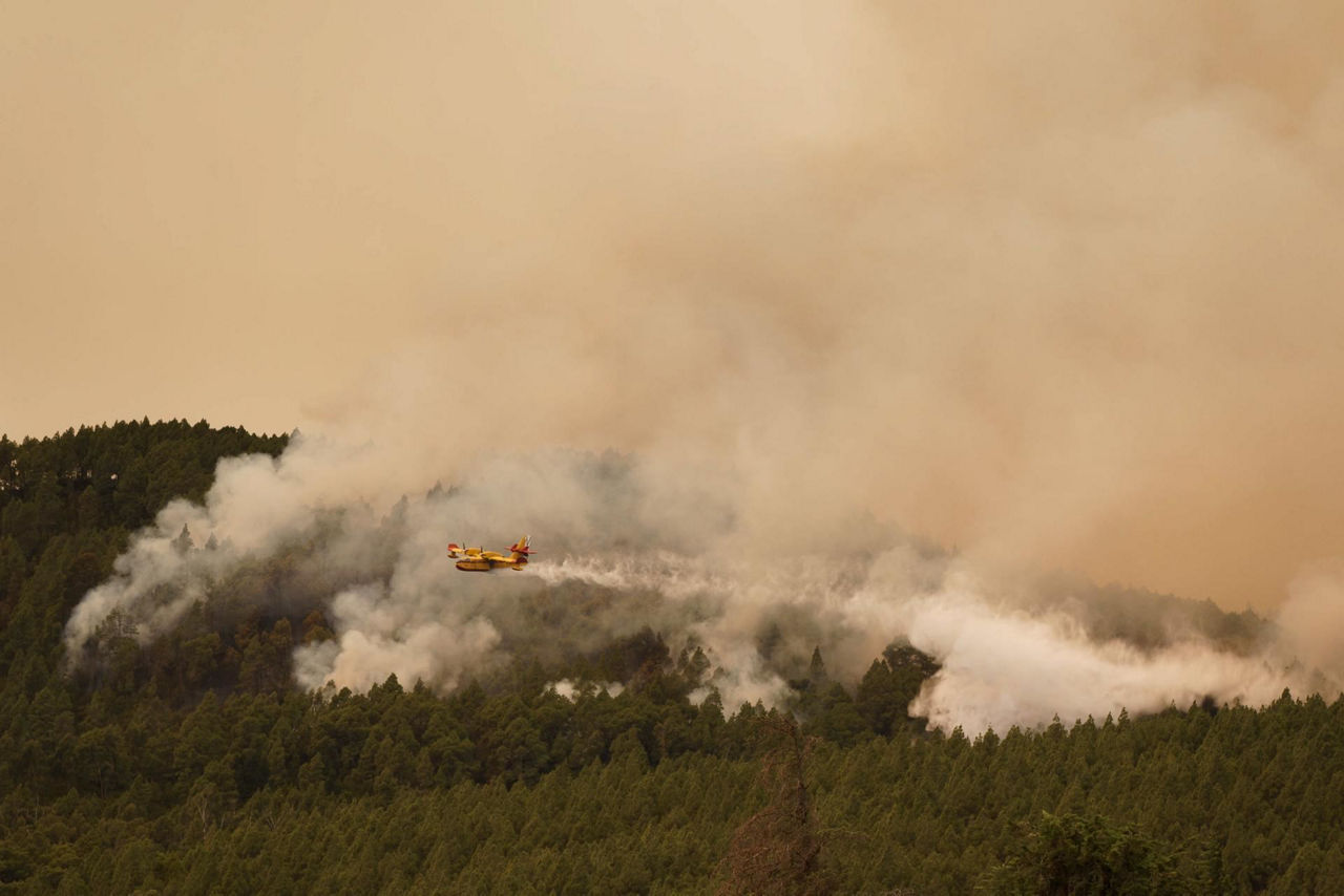 tenerife incendio sutea efe