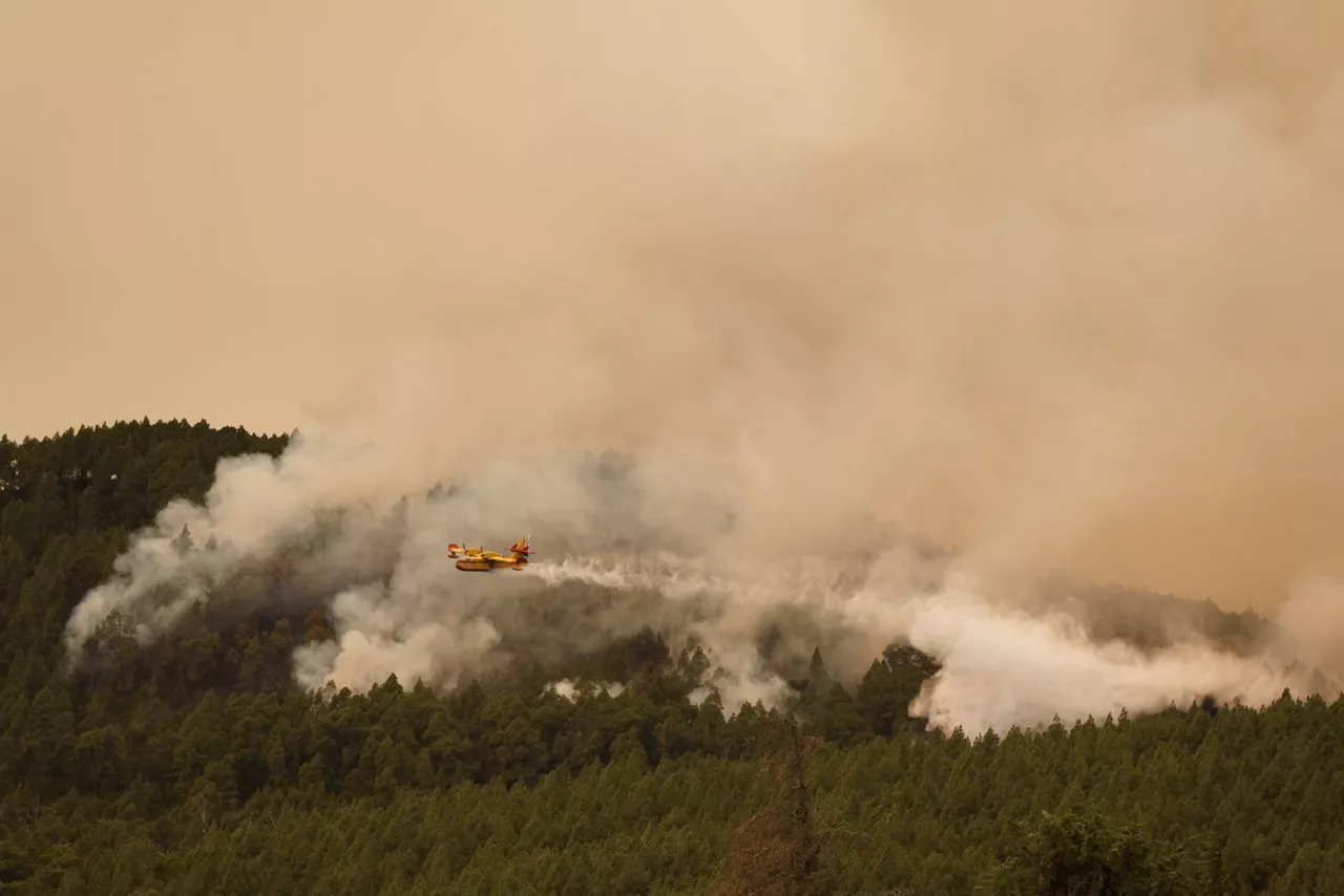 tenerife incendio sutea efe