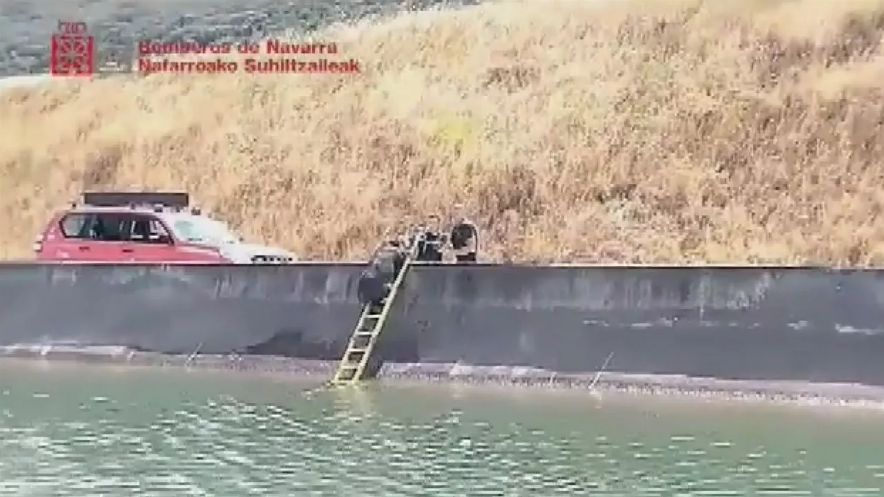 20230818115639_rescate-jabali-bomberos-de-navarra_