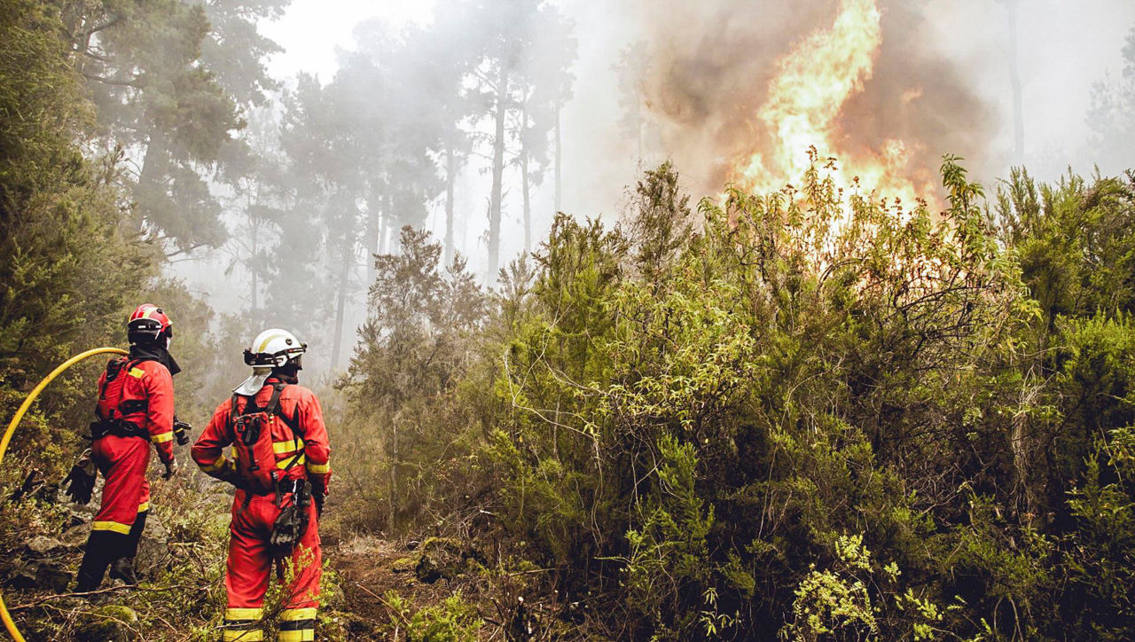 tenerife-sutea-incendio-EFE