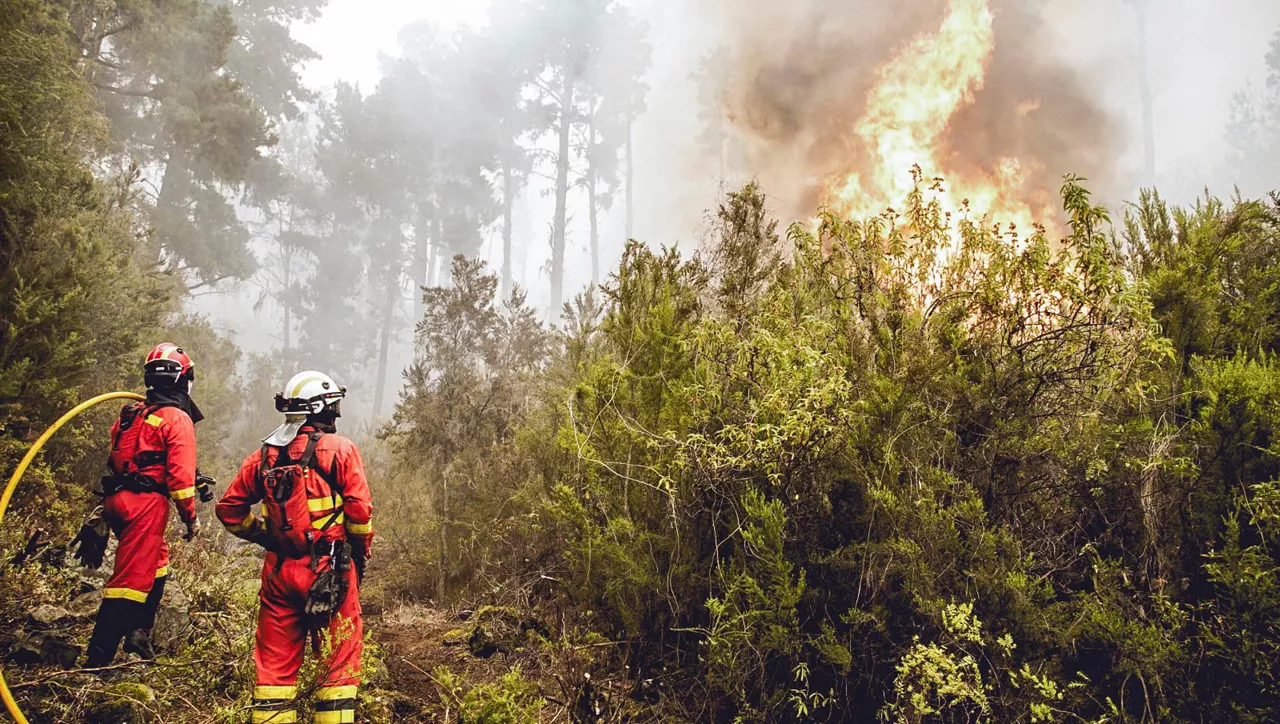 tenerife-sutea-incendio-EFE