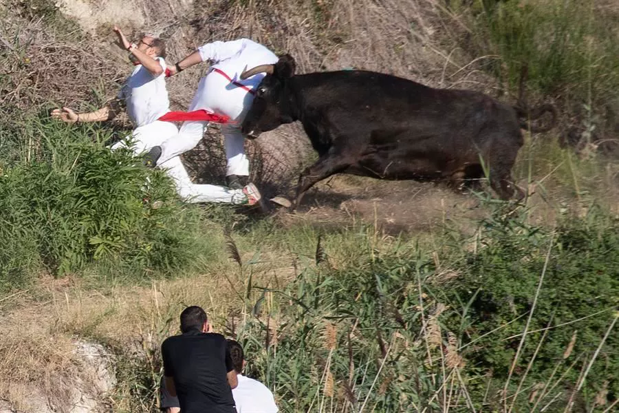 encierro pilon falces EFE