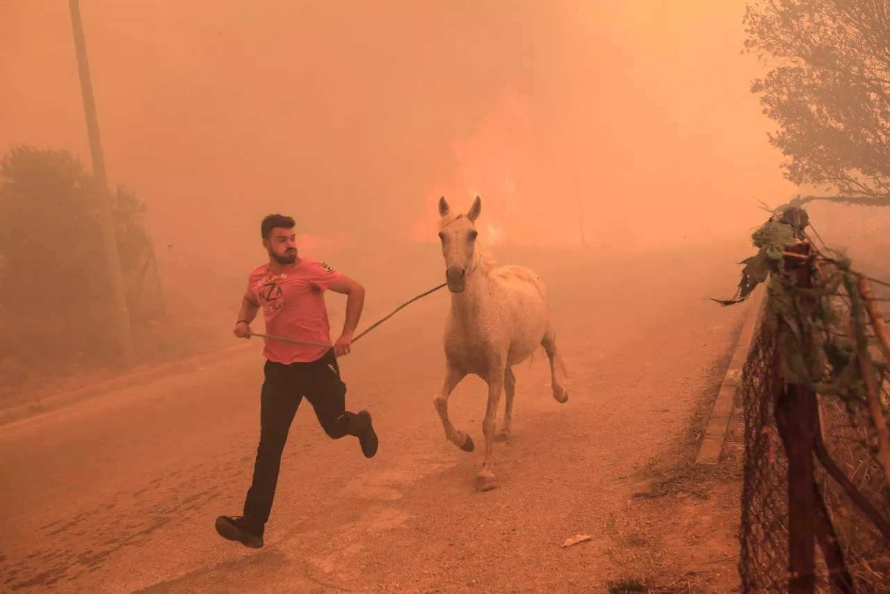 Incendio Grecia Alexandroupolis 22 agosto EFE