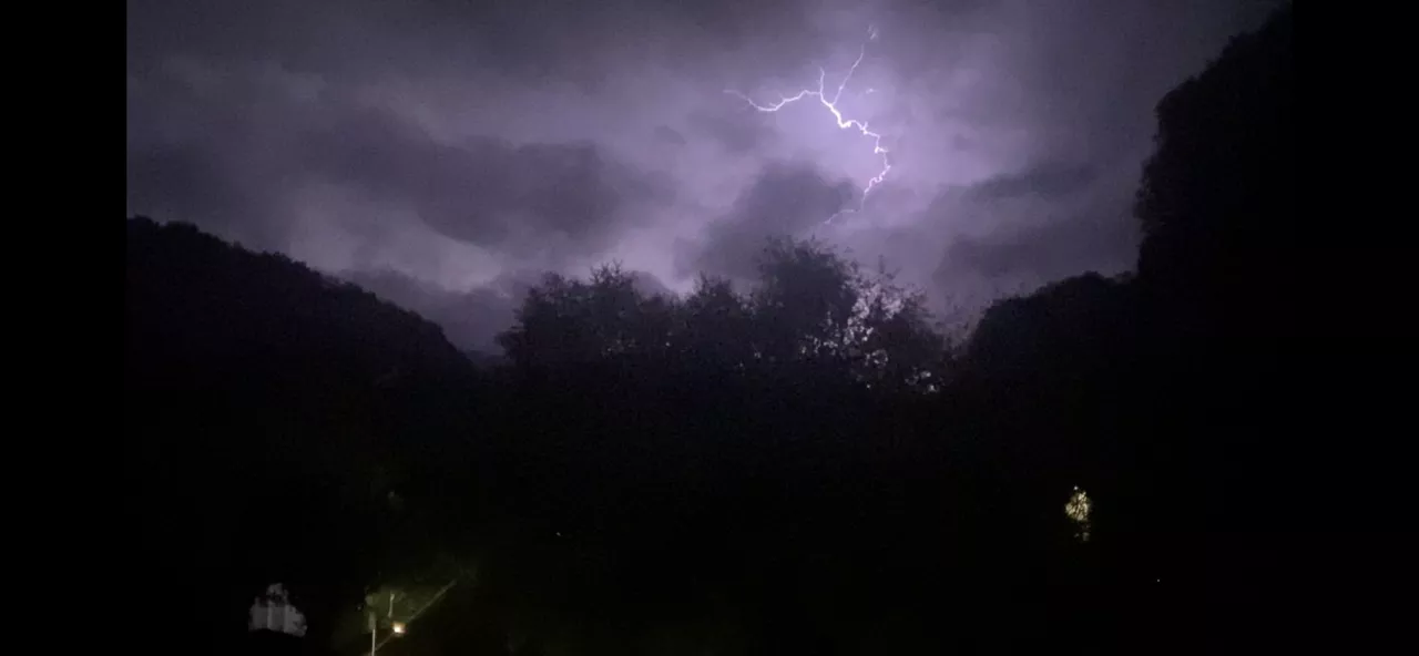 TXIMISTA EKAITZA ALEGIA GIPUZKOA JABIER LANDA