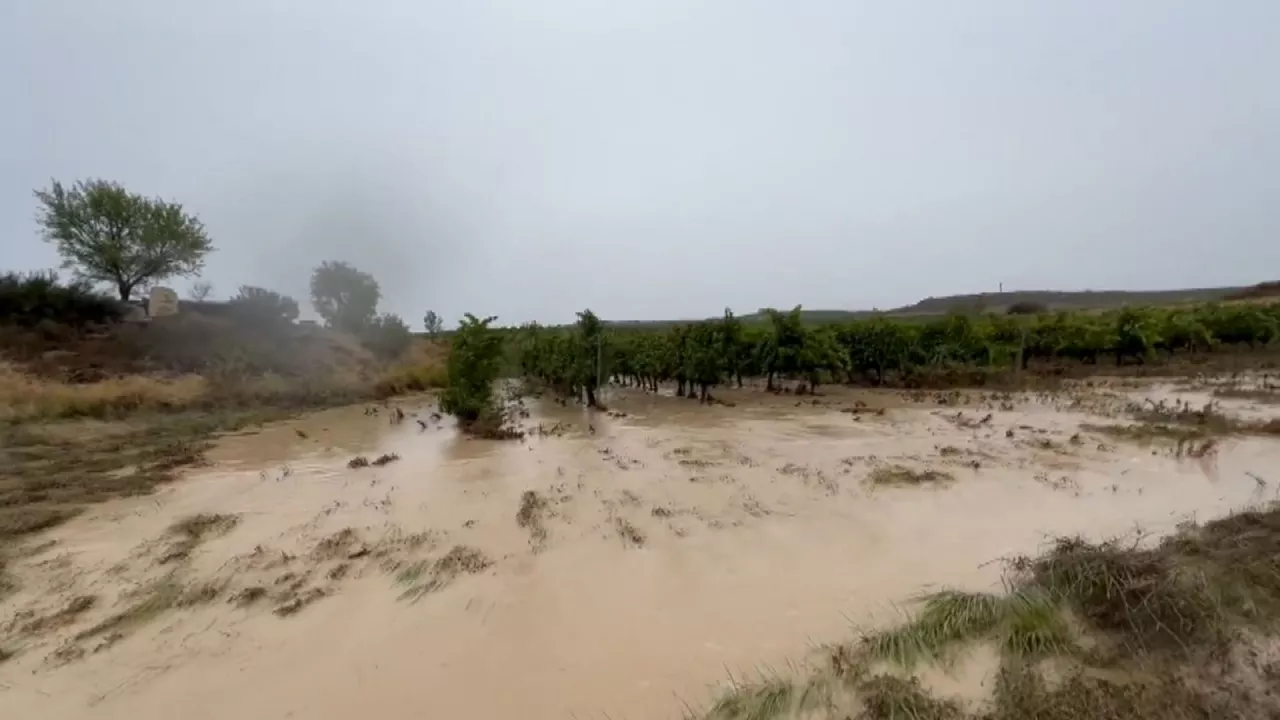 20230902193347_vinedos-oyon_