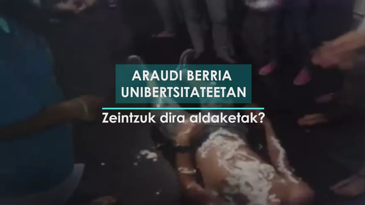 upv-araudi-eusk